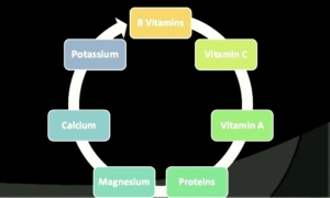 Role of NUTRIENTS IN STRESS
